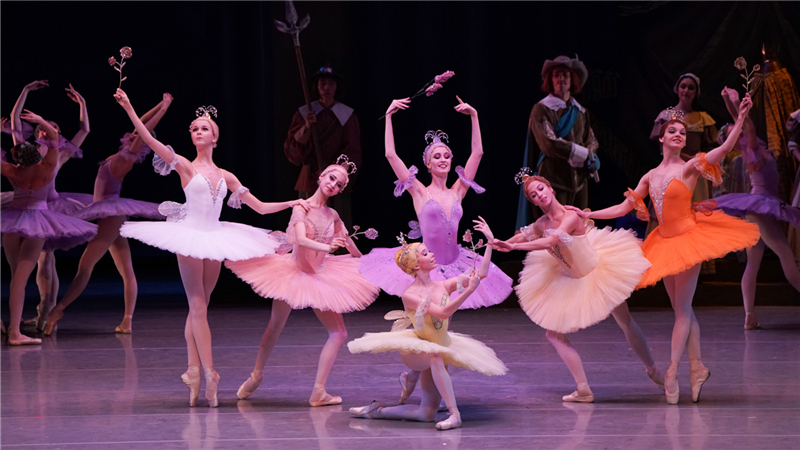 古典芭蕾明珠《睡美人》璀璨绽放